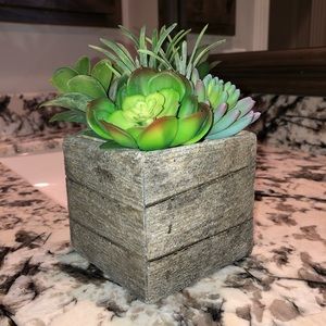 faux rustic succulent plant